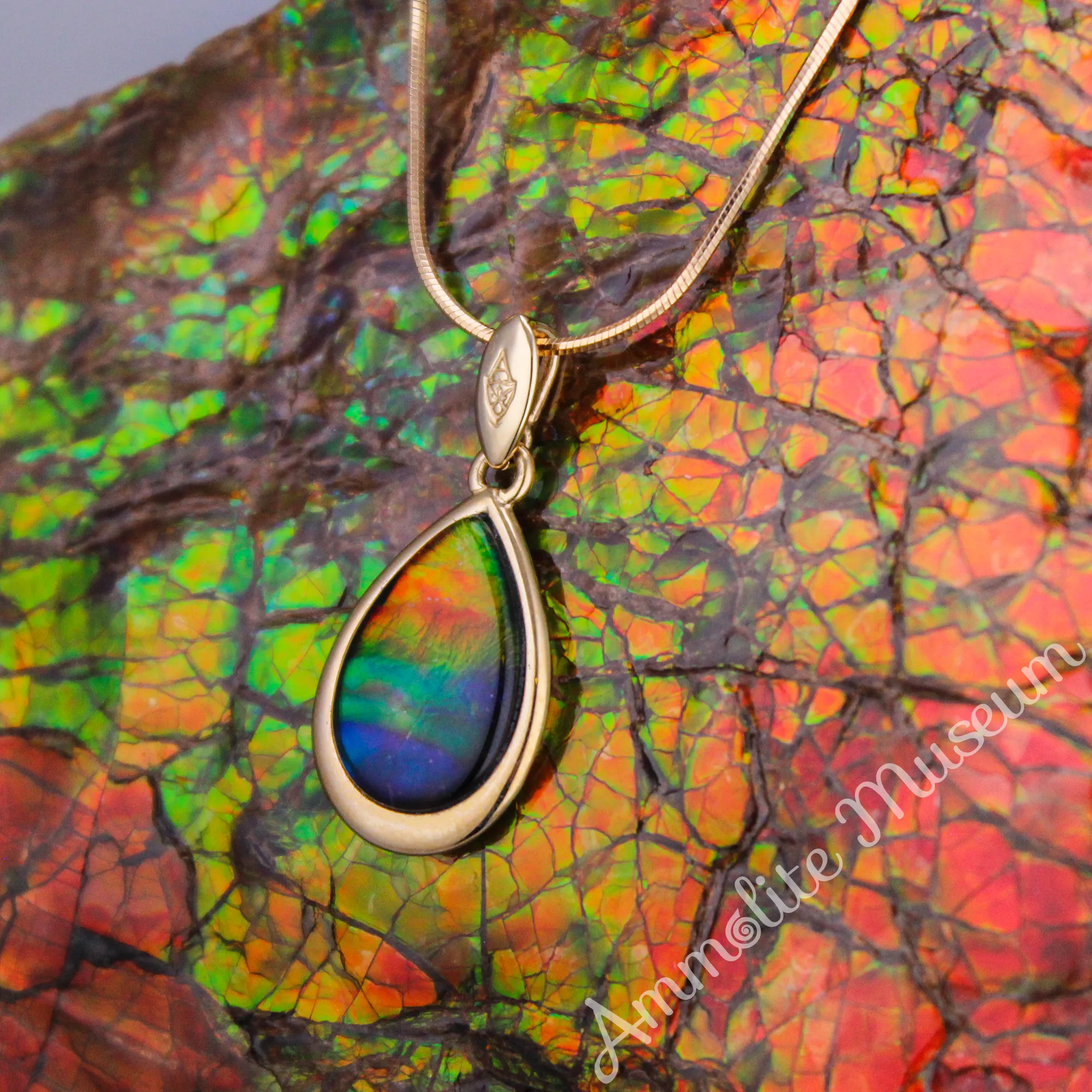 14K Gold Teardrop Ammolite Pendant