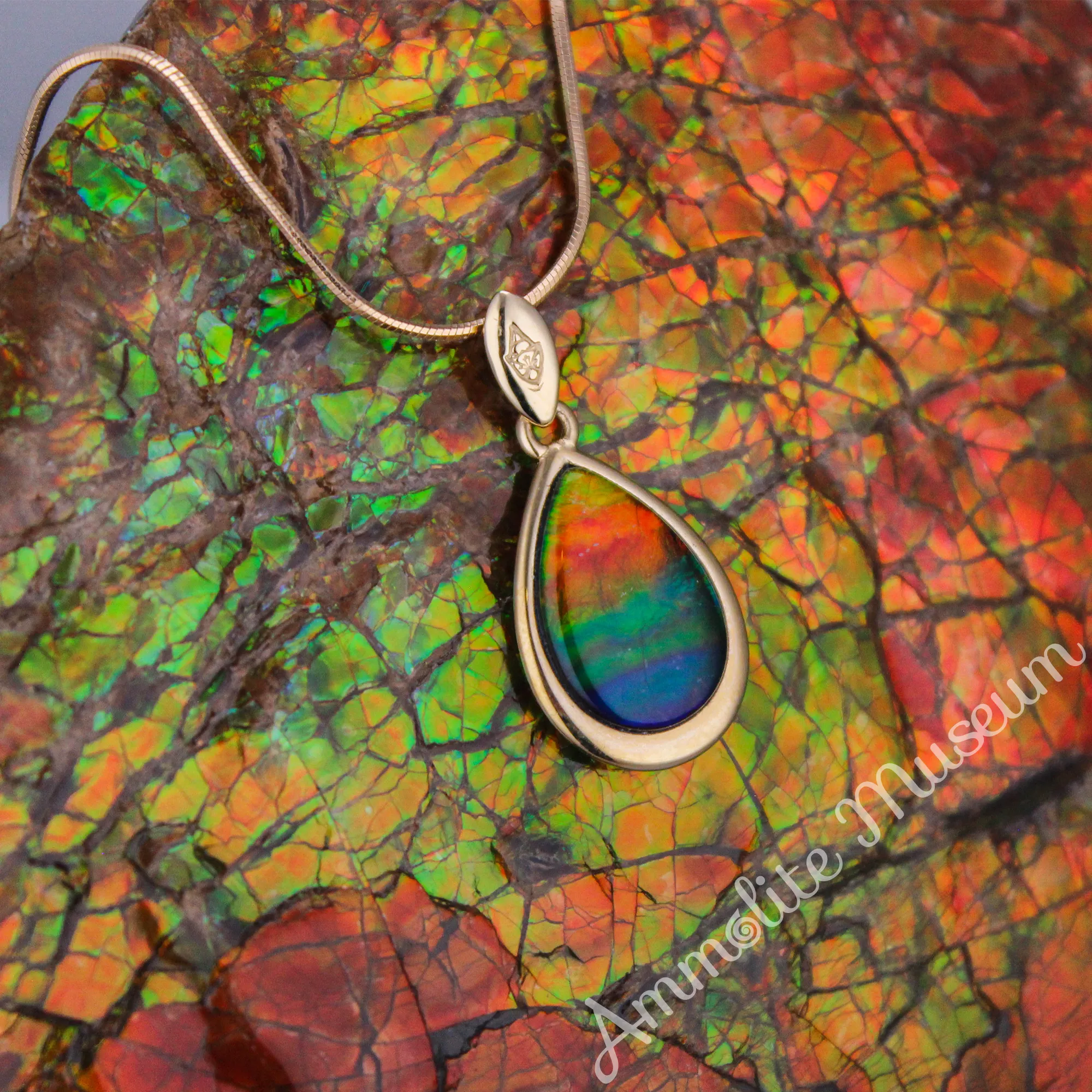 14K Gold Teardrop Ammolite Pendant