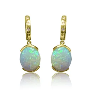 14kt Yellow Gold White Opal earrings