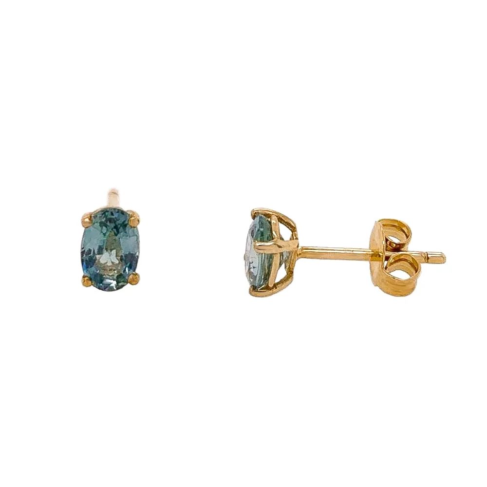 9ct Yellow Gold Parti Sapphire Stud Earrings