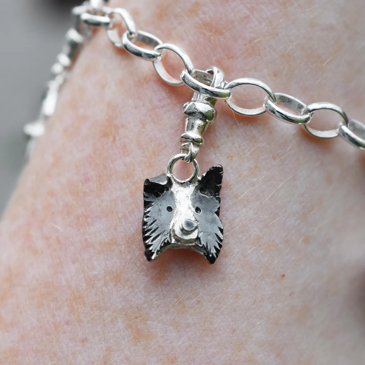 Border Collie Charm