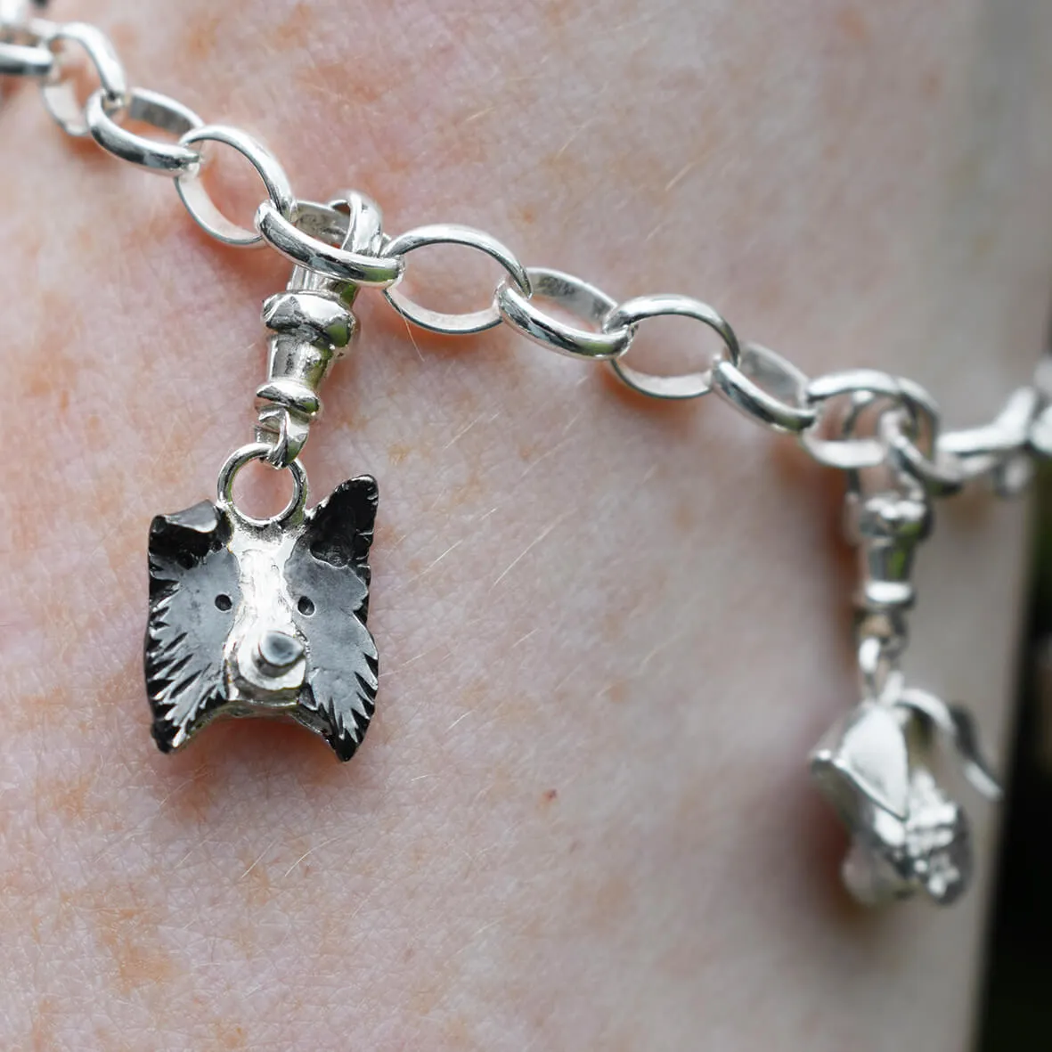 Border Collie Charm